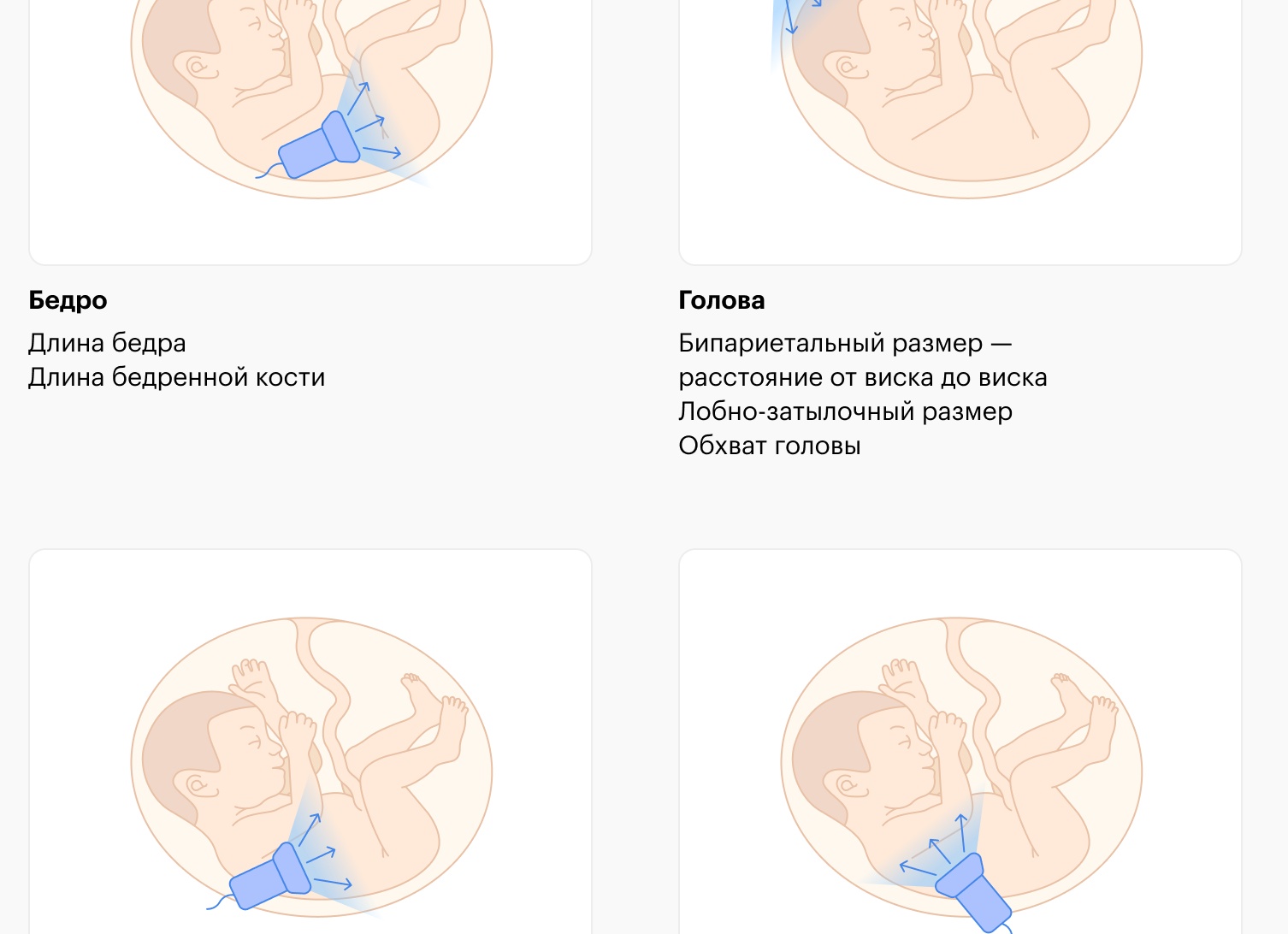 УЗИ во время беременности. Опасно ли, как часто делать и на каком сроке?